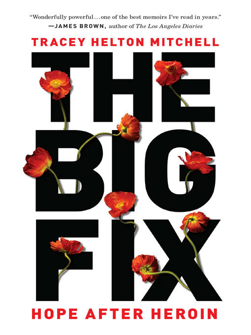 Title details for The Big Fix by Tracey Helton Mitchell - Available